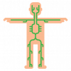 lymphatic-vessel